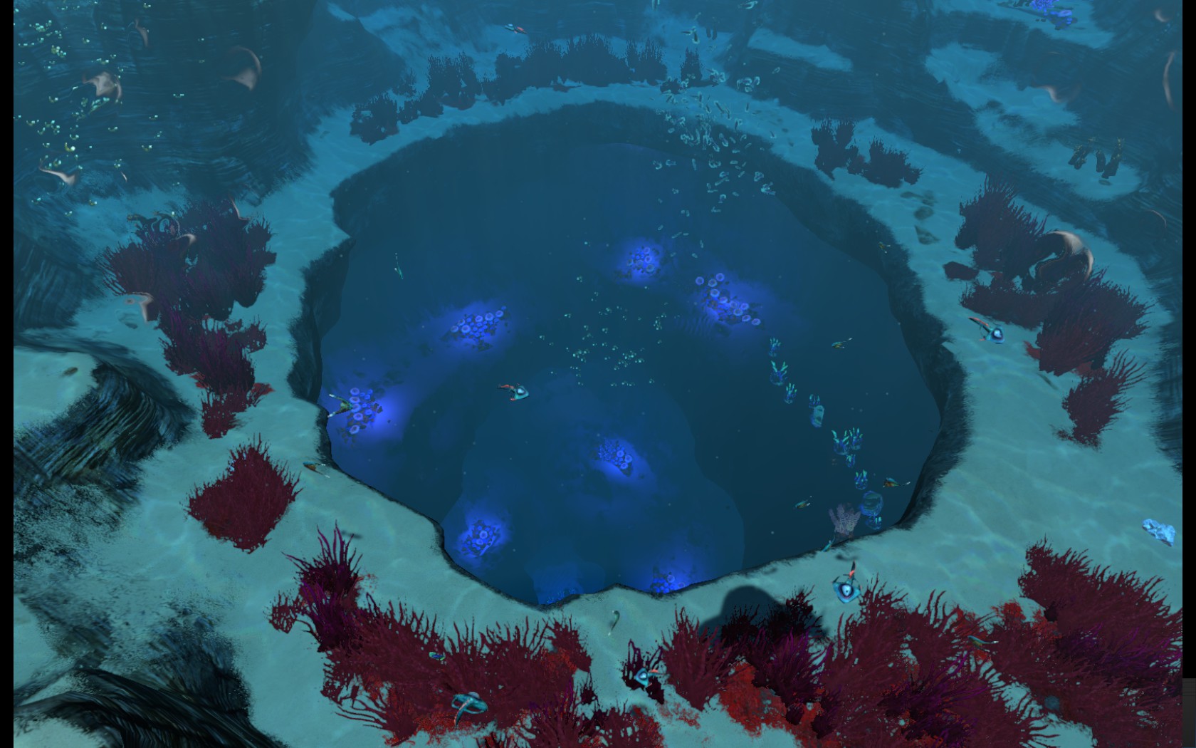 Кровавые водоросли. Сабнатика зона куш. Subnautica зона куш на карте. Большой риф сабнатика. Биом большой риф Subnautica.