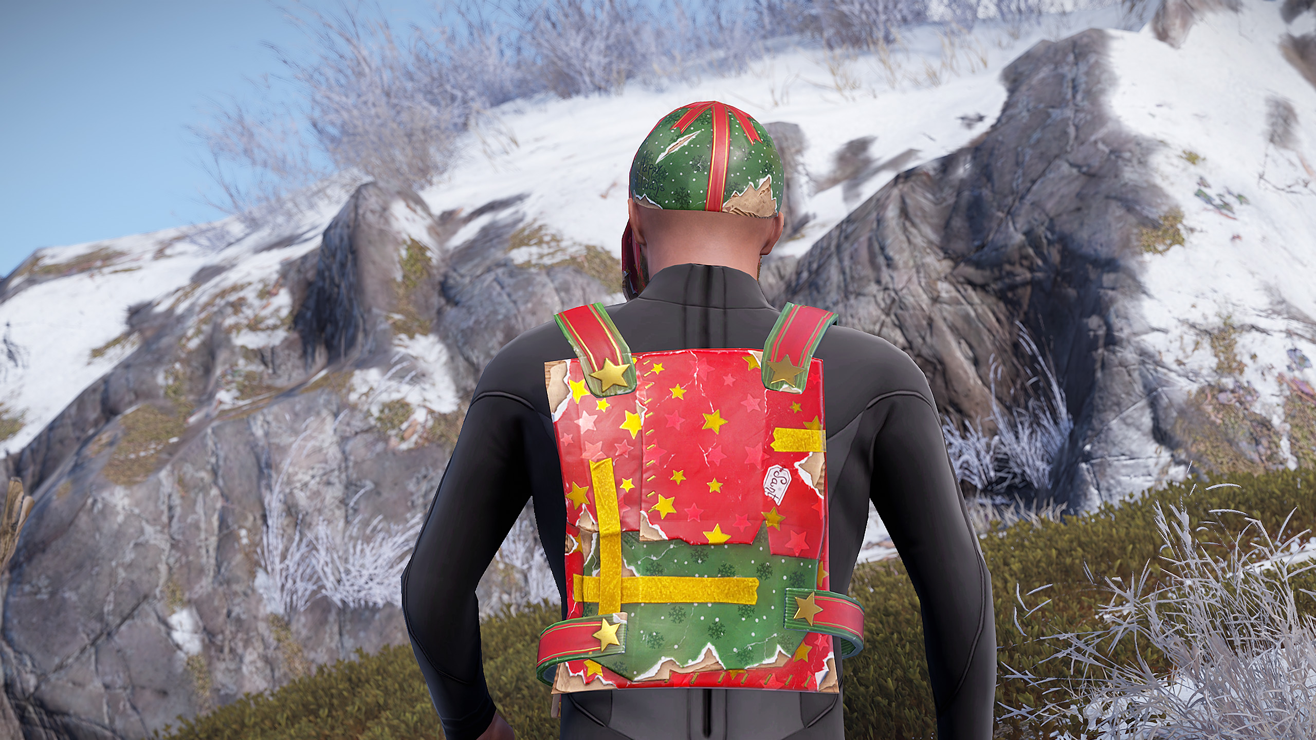 Wrapped Chest Plate thumbnail 10