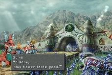 Final Fantasy IX Walkthrough image 296