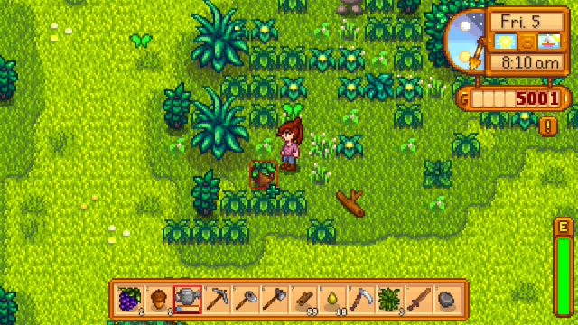 stardew valley foraging