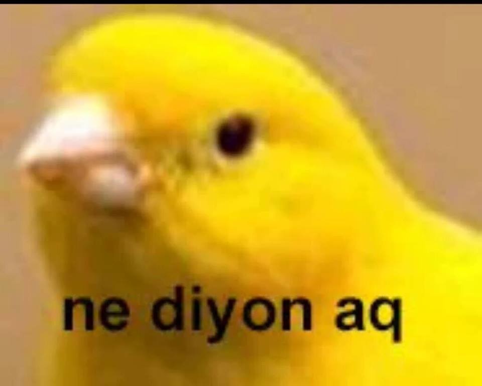FB2E20A362BA687B2BC5F9A8B0F03DBA7F21DD0C