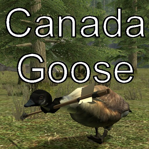 Canada goose 2025 logo 512x512