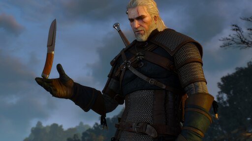 The witcher 3 nvidia hairworks amd фото 48