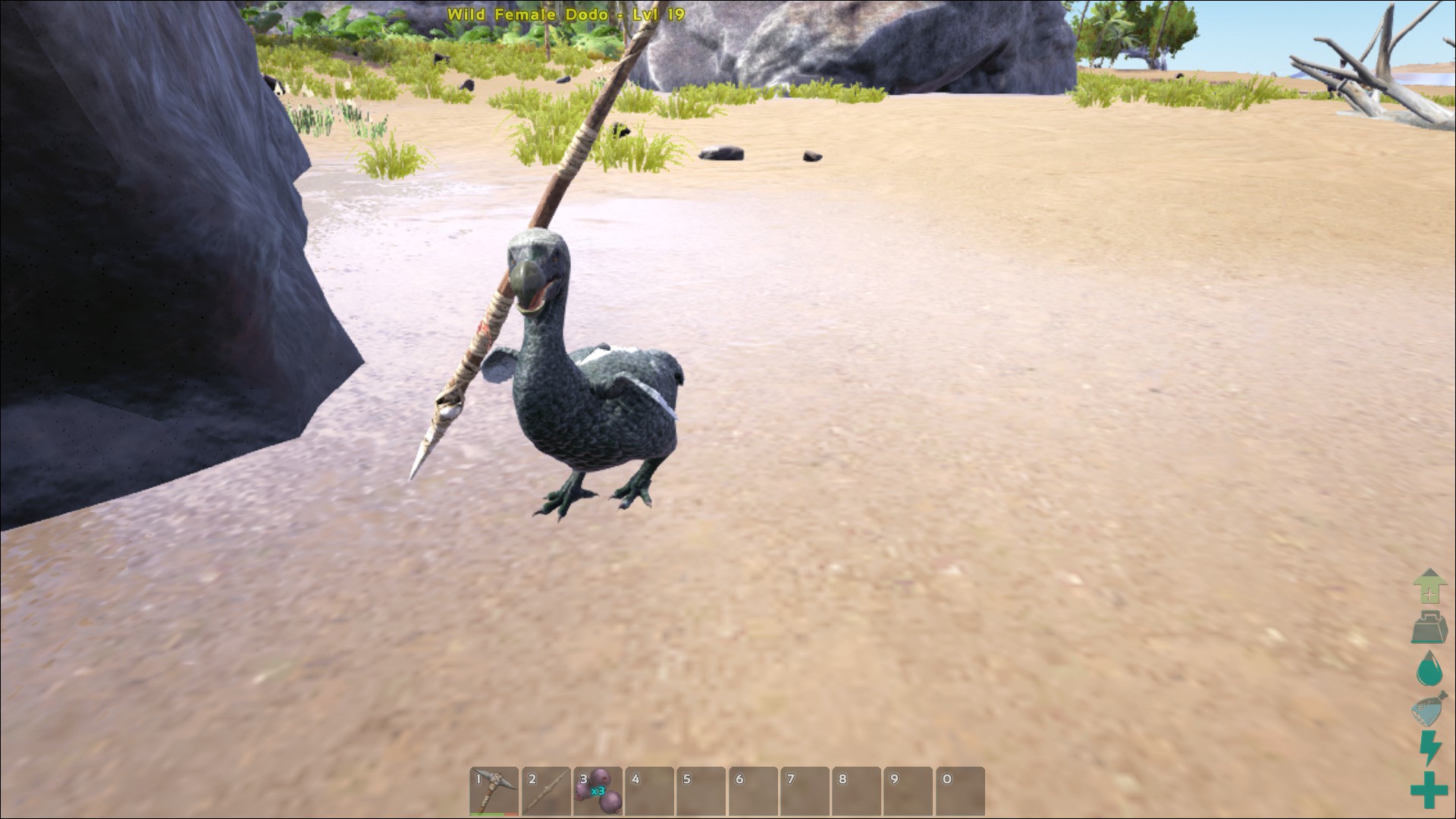 ark dodo army