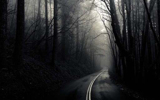 Темне т. Мрачный пейзаж. Темный лес. Темная дорога в лесу.