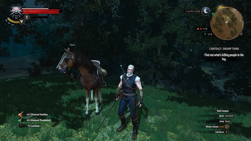 The witcher 3 school of cat фото 49