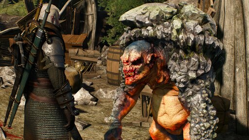 The witcher 3 monster hunt фото 20
