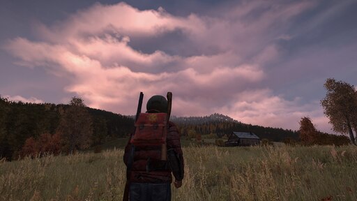 Can you steam share dayz фото 12