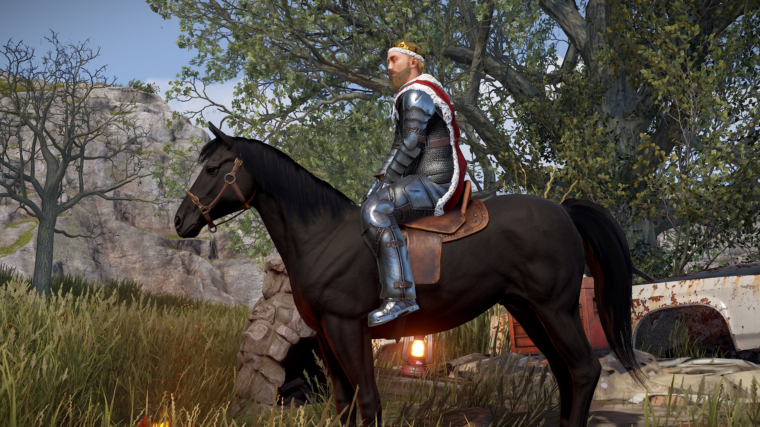 Red Monarch Cape thumbnail 4