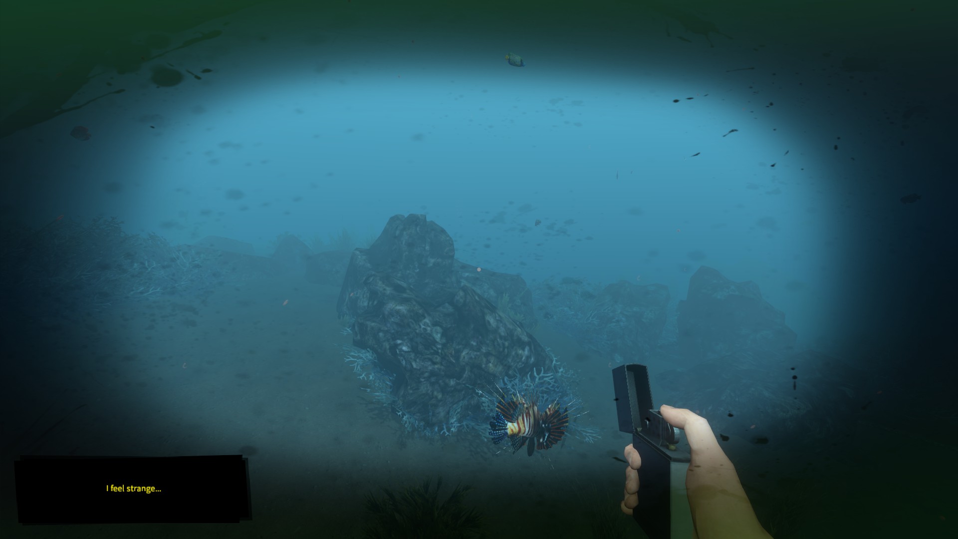 [RUS]Гайд по игре Stranded Deep – Steam Solo