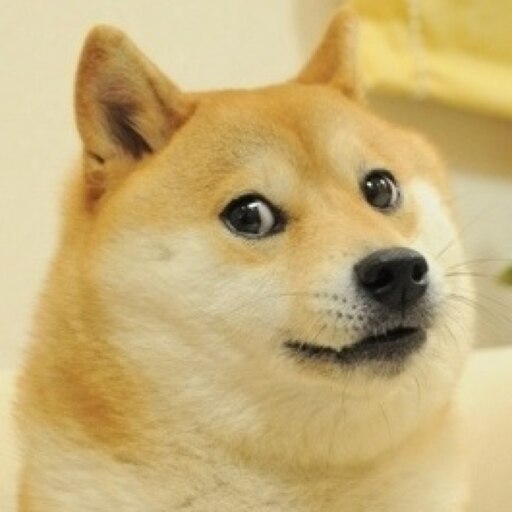 This is doge steam фото 50