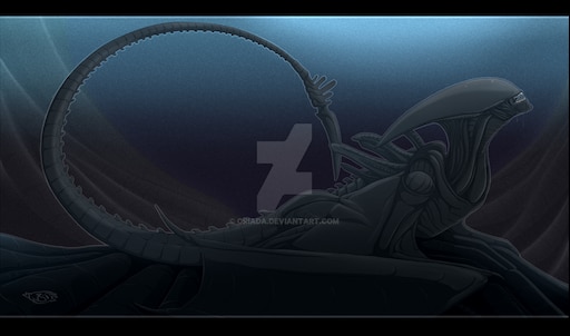 Ксеноморф ул блинова 2 село александровское фото Ксеноморф ул блинова 2 село александровское фото