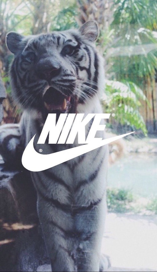 Кот найк. Кот в найке. Кот в Nike. Животные и Nike. Кот в найке на аву.