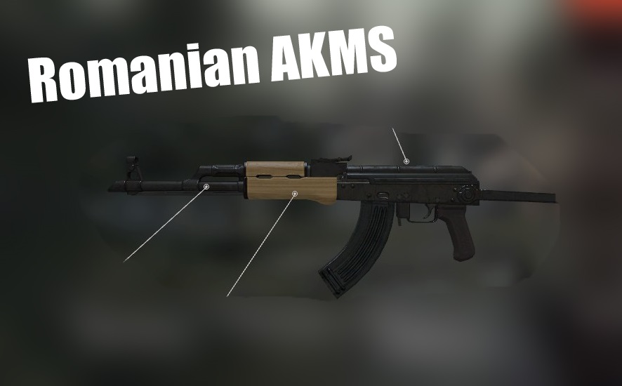 Romanian AKMS