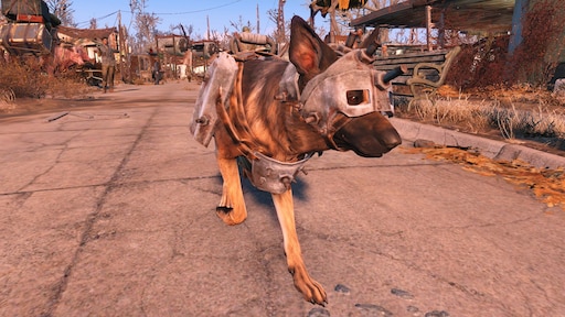 Fallout 4 good boy dogmeat фото 103