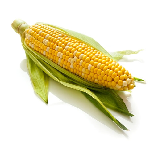 Corn me. Кукуруза. Кукурузный початок. Кукуруза это овощ. Плод кукурузы.