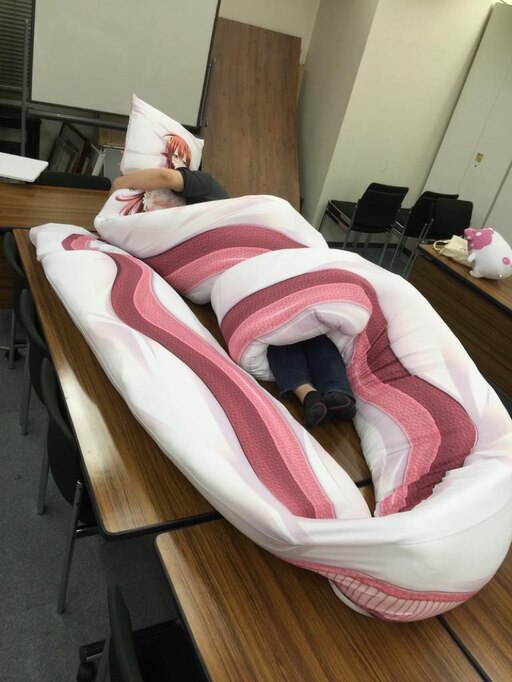 long-body-pillow/ http://sgcafe.com/2015/07/7-meter-life-size-body-pillow-m...