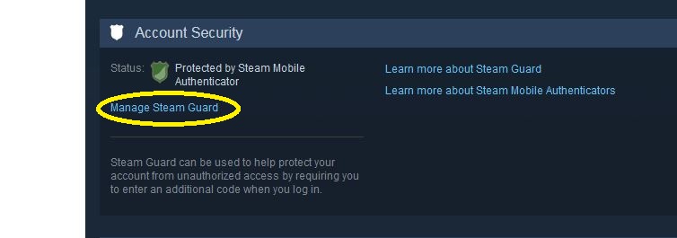 Not steam code authenticator sending Not Receiving