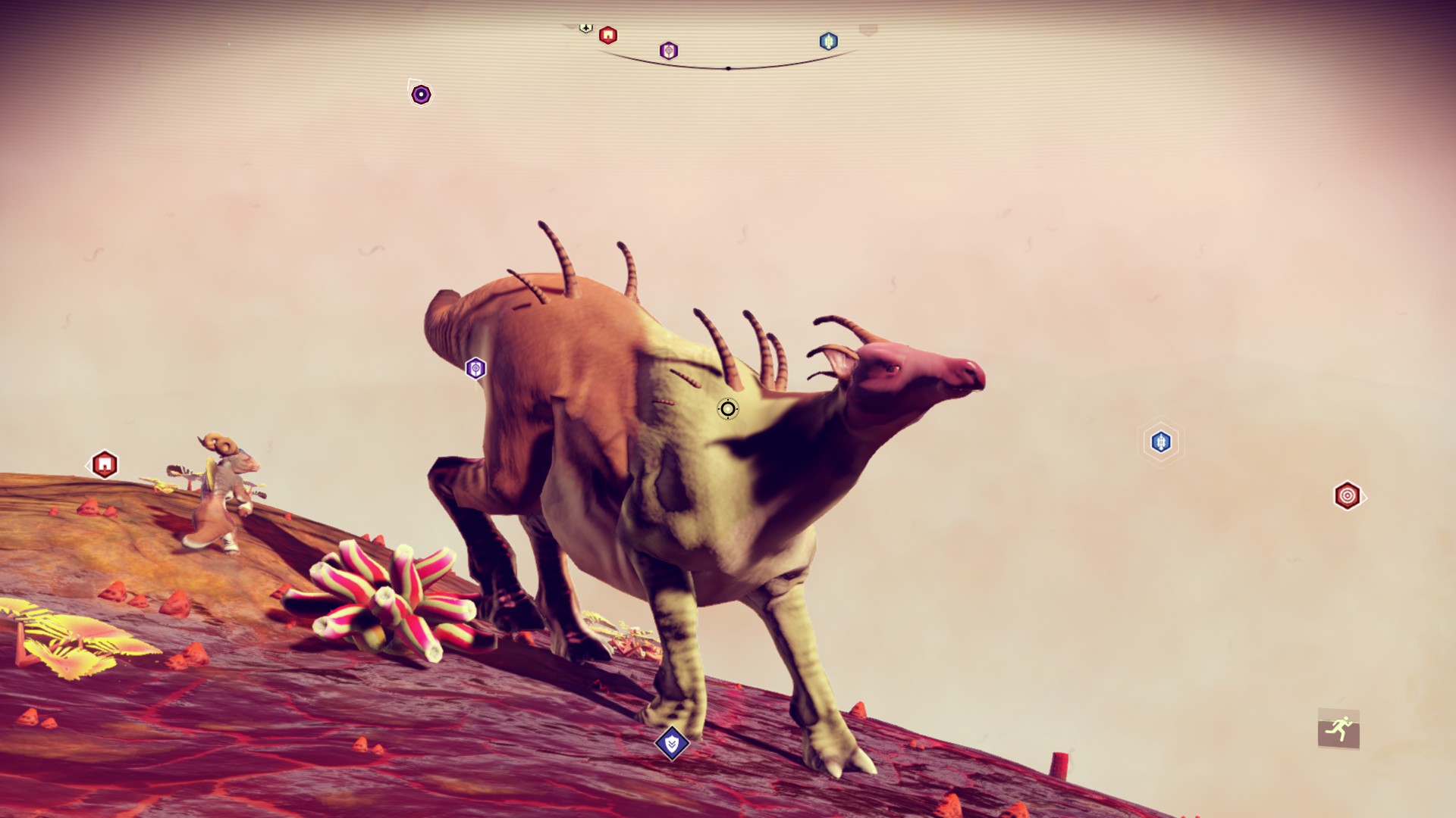 Steam Community Screenshot この生物を見つけるのにものすごい時間を掛けた ｐ