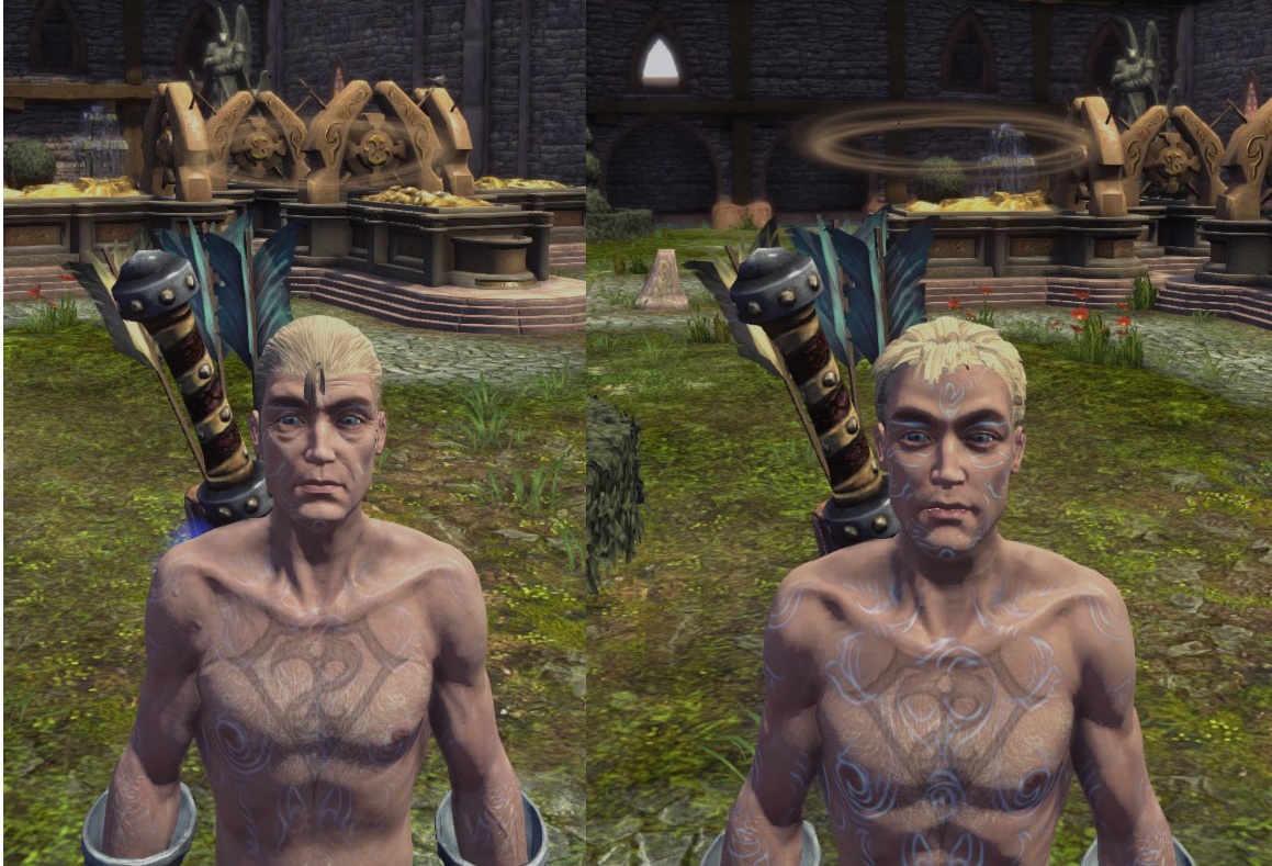 fable 2 anti aging)