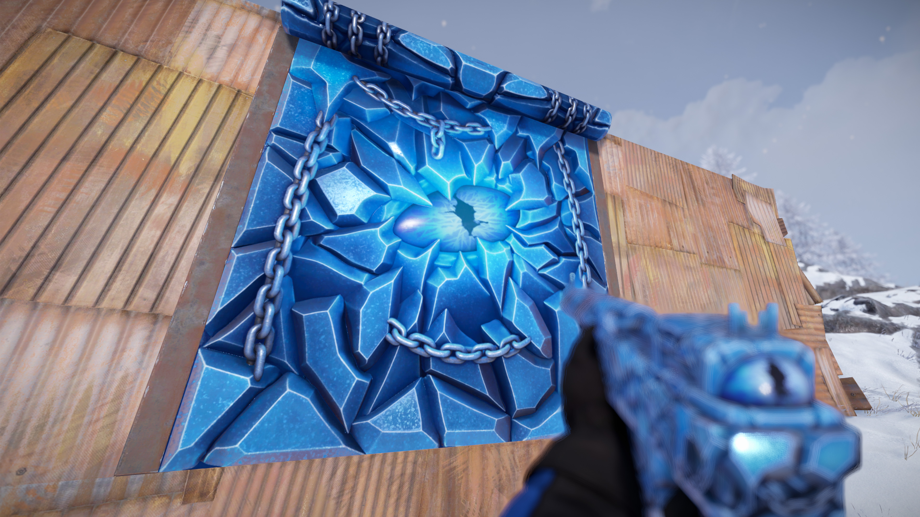 Ice Eye Garage Door thumbnail 5