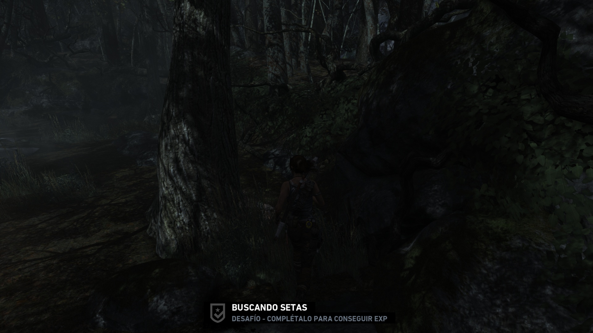 Tomb Raider 100% Guia + Logros + Multiplayer image 109