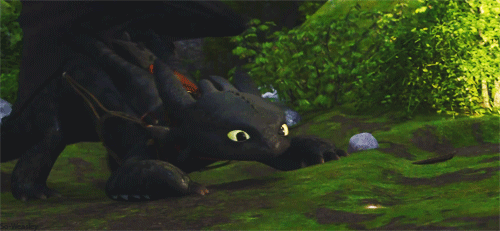 httyd toothless playing