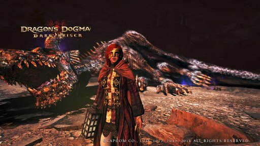 Dragon dogma стим фото 18