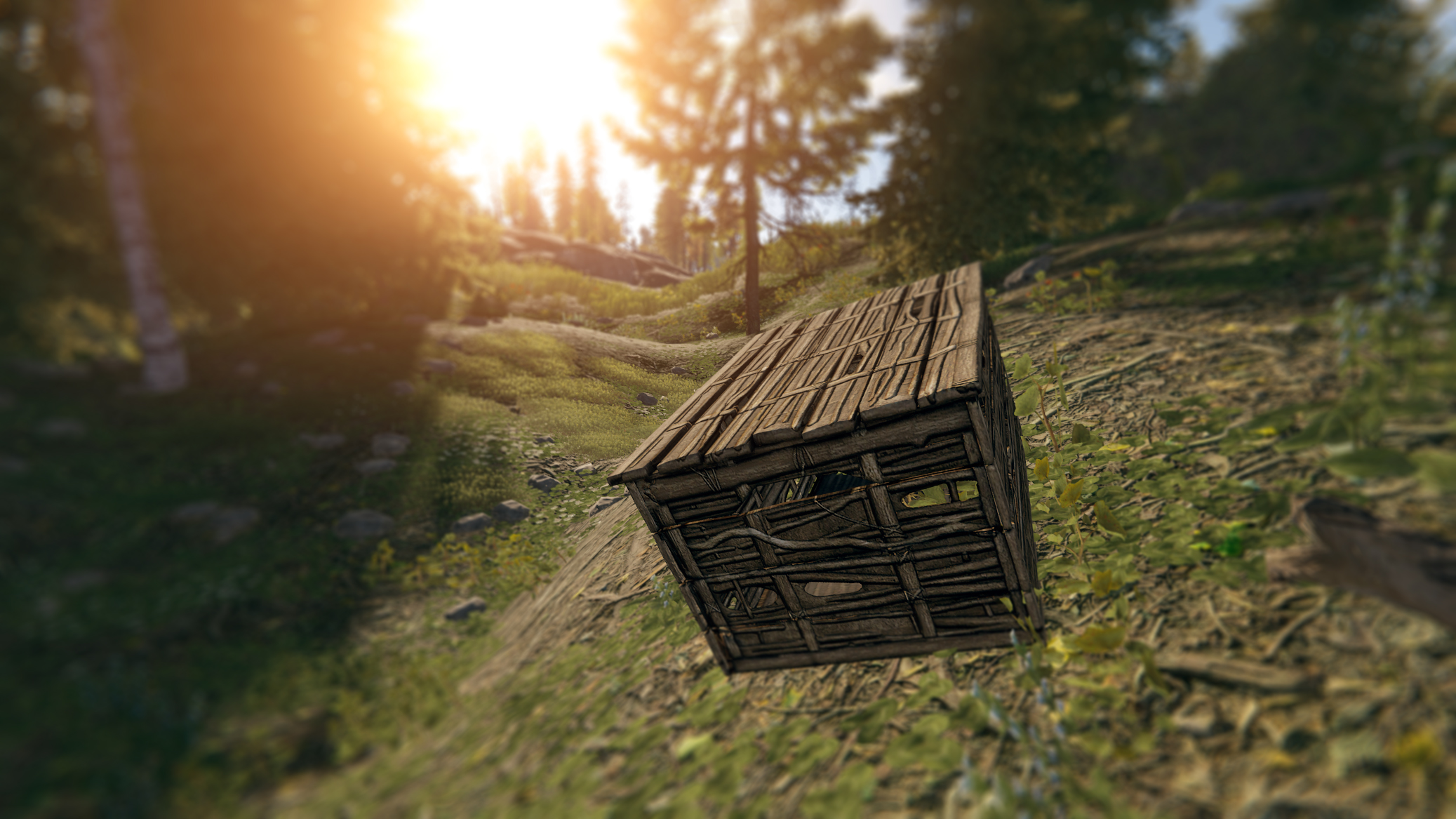 Twig Box thumbnail 6
