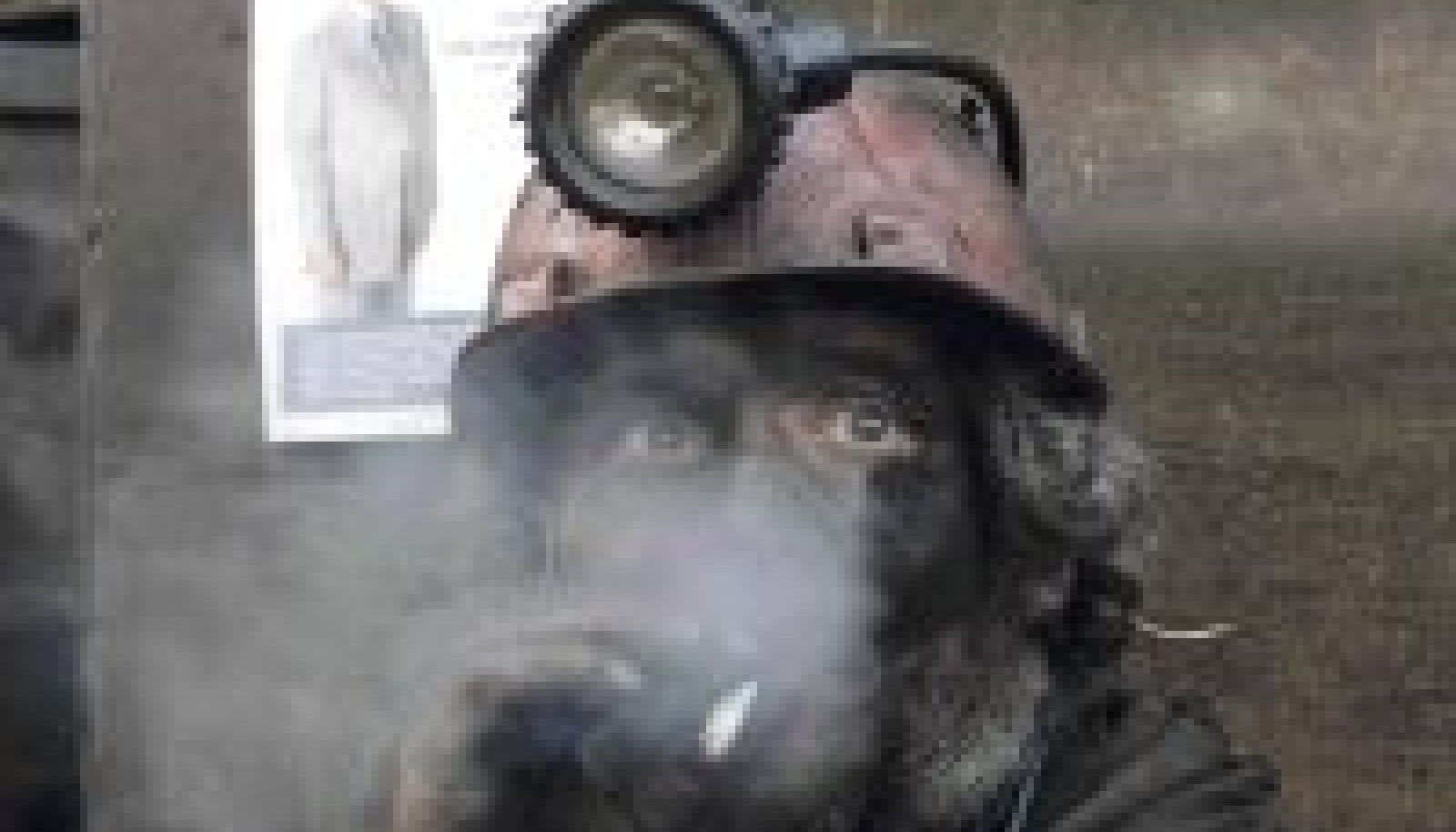 Пьяный шахтер на заднем плане видео