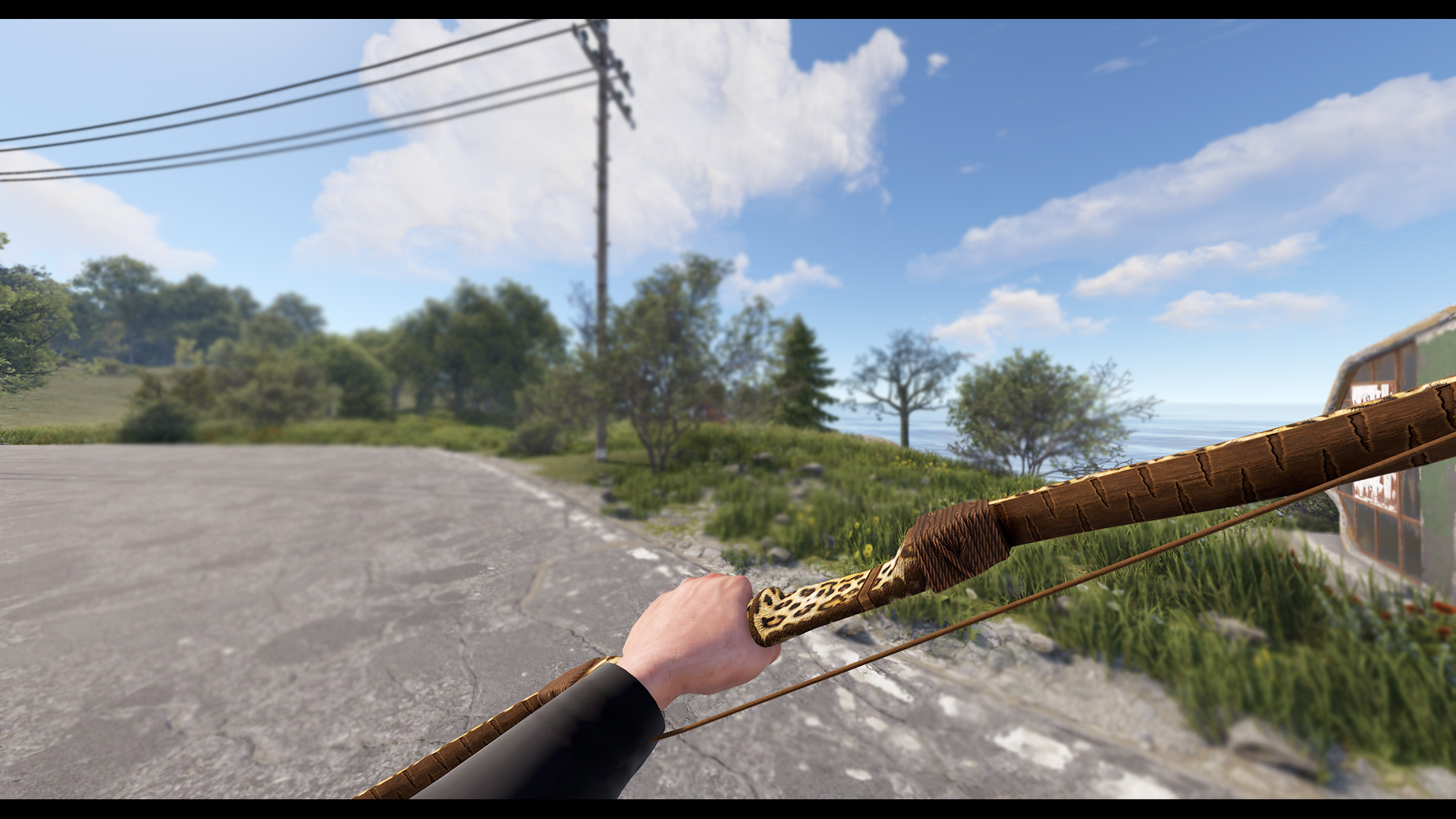 Leopard Bow thumbnail 10