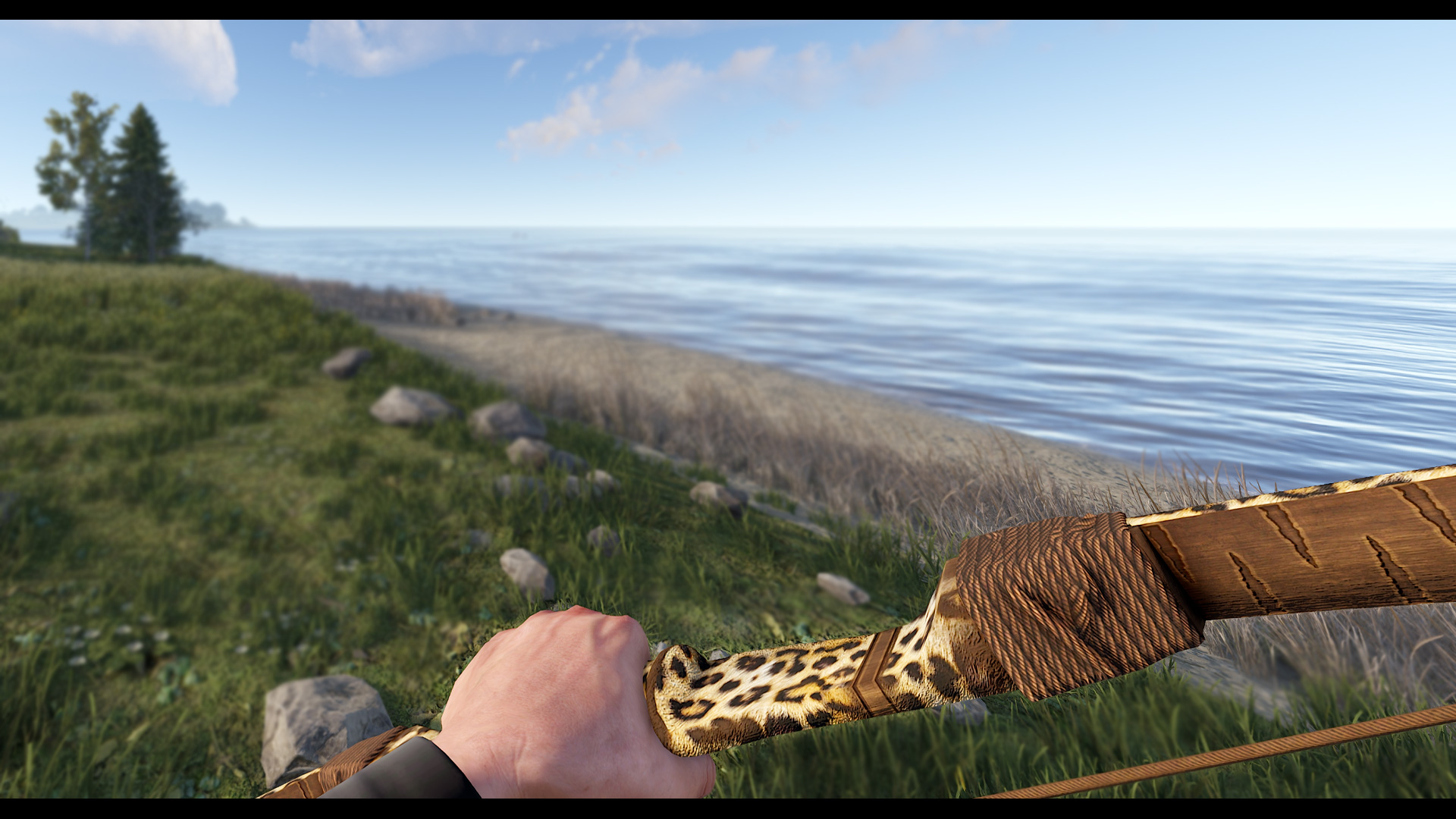 Leopard Bow thumbnail 3
