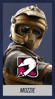 Steam Community :: Guide :: -ALL SIEGE SQUADS- [COMPLETED]