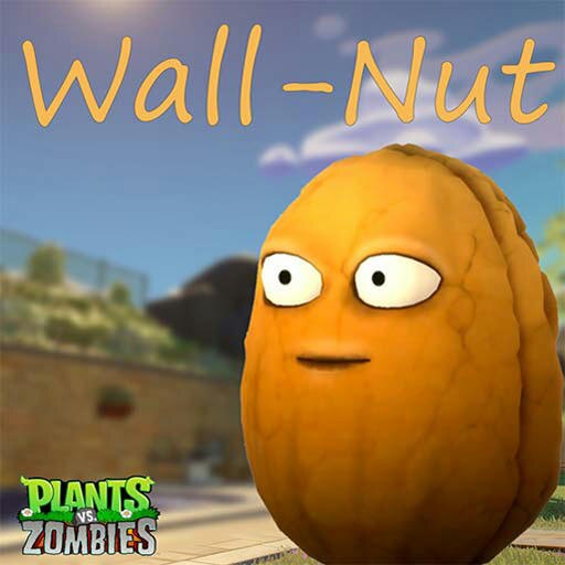 Wall nut store