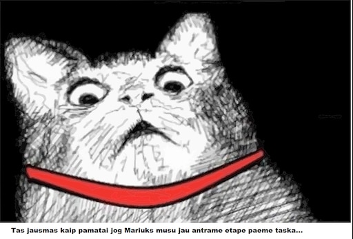 Мемы с котом марселем новые Мемы с котом марселем новые