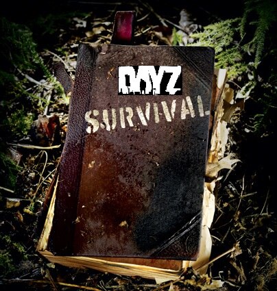 Steam Community :: Guide :: DayZ Survival School