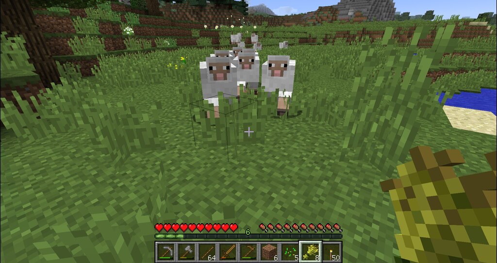 Steam Community Screenshot マイクラ始めました 羊って見た目全部同じだから２匹いたら増やせるかな