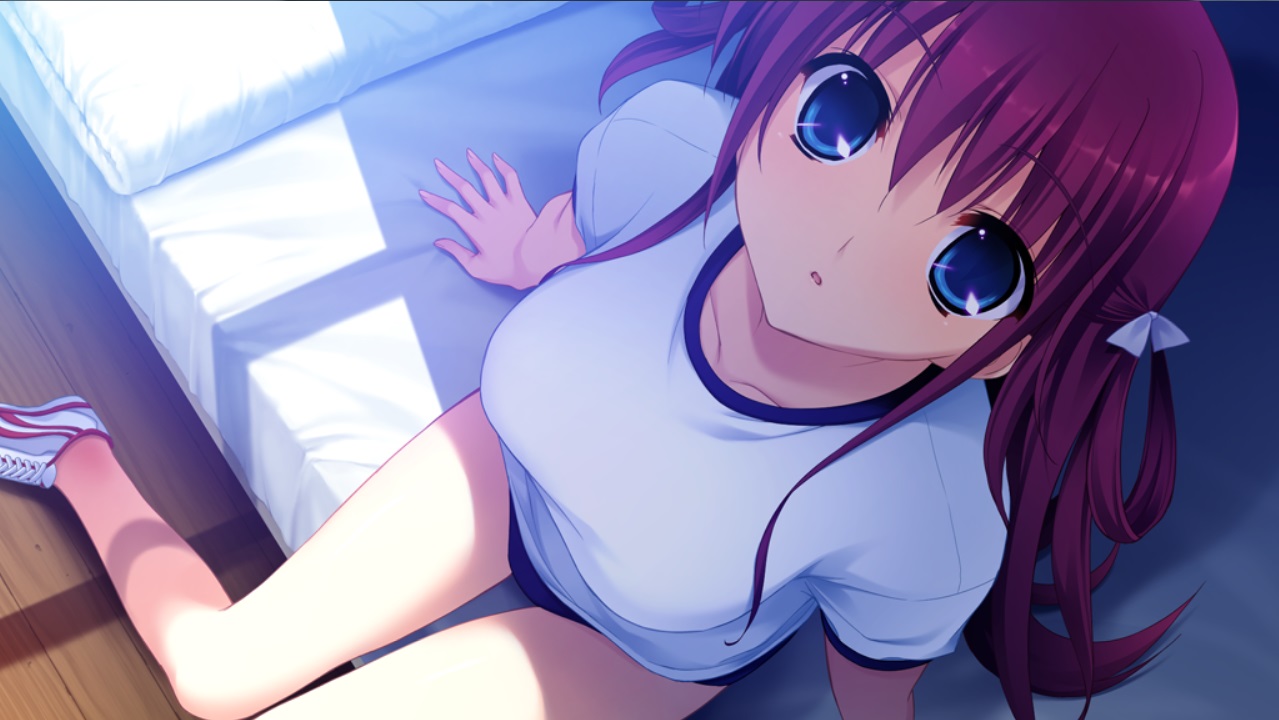 Fruit of grisaia vn