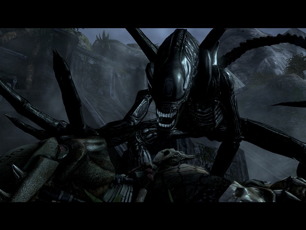 download the predator xenomorph