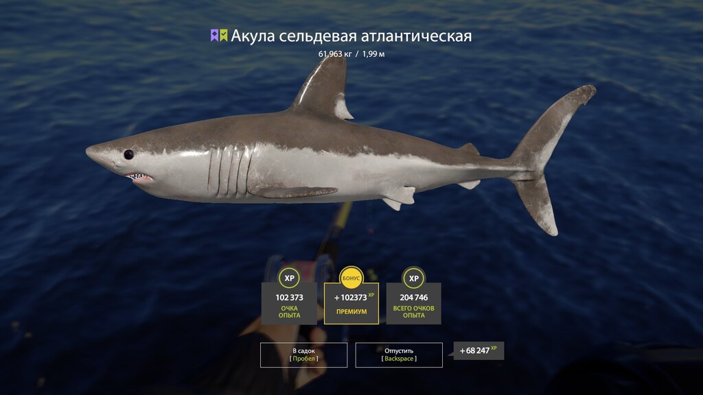 Steam Community :: Russian Fishing 4
