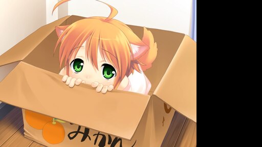 Котенок в коробке арт