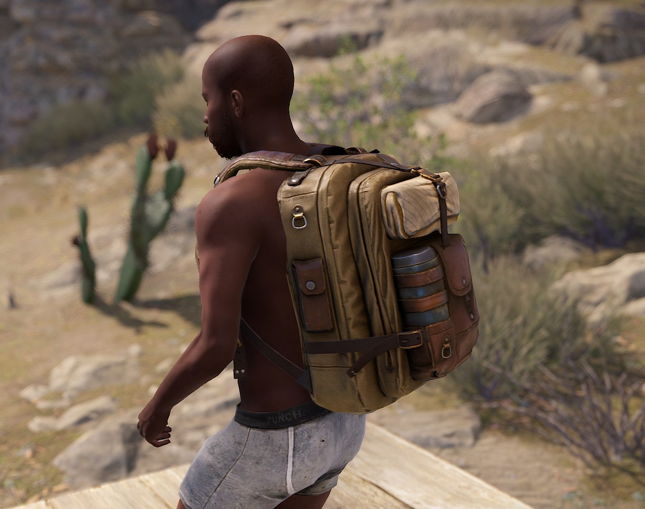 Desert Nomad Backpack thumbnail 2