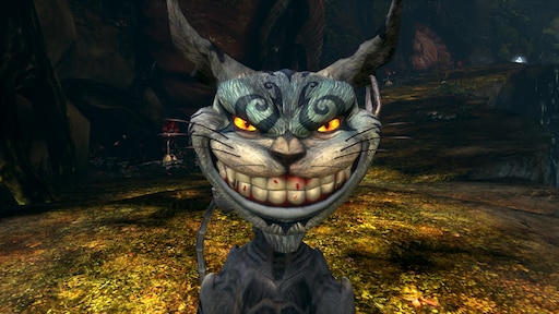 Алиса кот фото Алиса кот фото