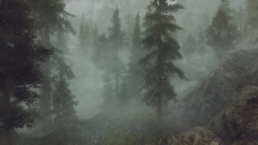 Разгадайте тайну алтаря путь в туманном лесу. Silent Hill лес. Туманный лес ДНД. Туманный лес Silent Hill. Мифический лес.