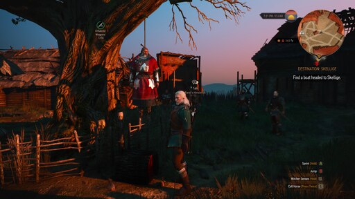 The witcher 3 барон фото 101