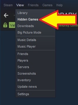 How to View Hidden Games on Steam – TechCult