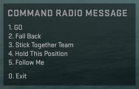 Community :: Guide :: Hidden Radio Commands