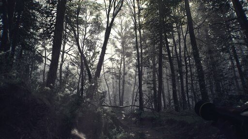 стим черный лес фото 101