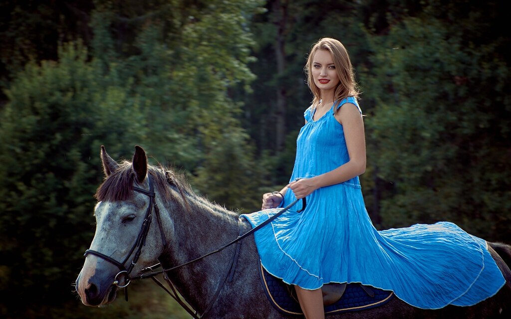 The Horse blue dress