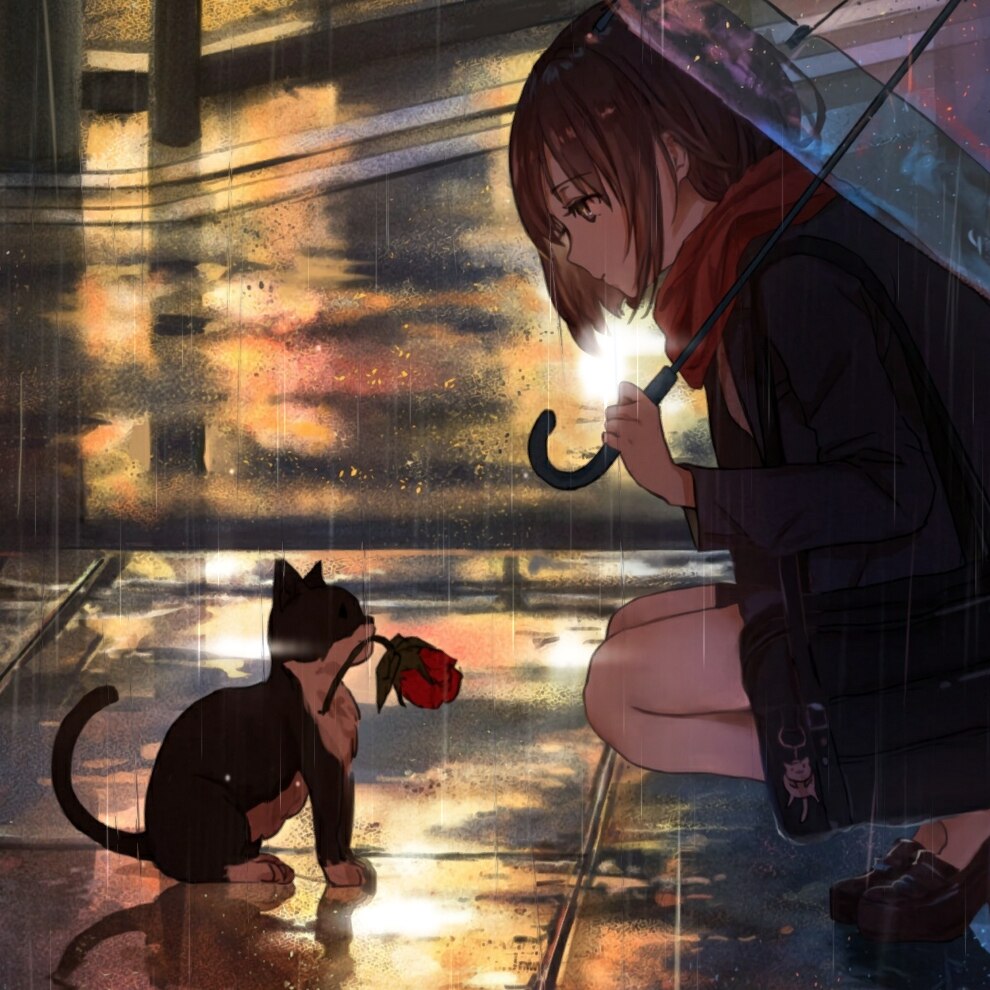 In the rain